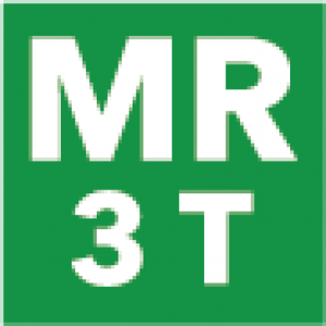 MR3045 MR 3T - Dekal i plast, 25st - 33x33mm